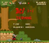 Asterix sur Nintendo Super Nes